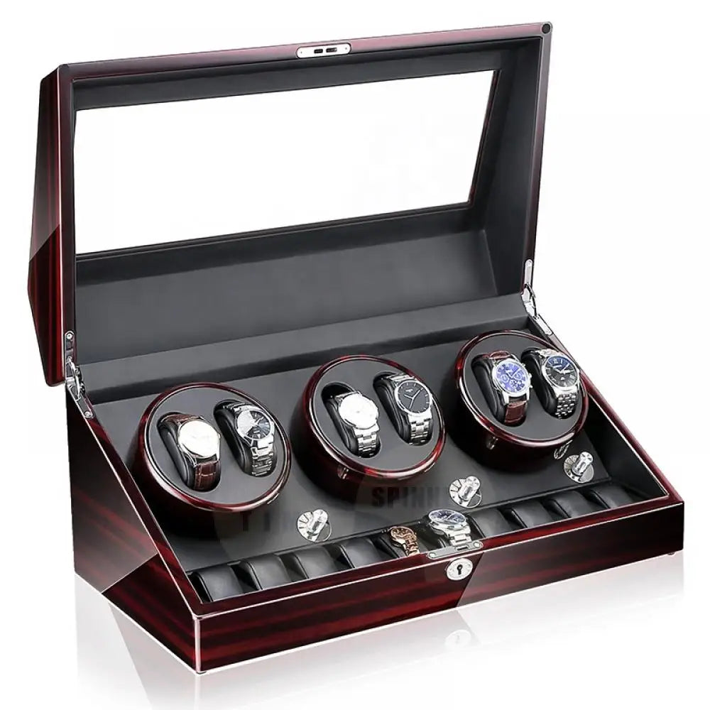 Regal - 6 + 7 Luxury Watch Winder Watch winder