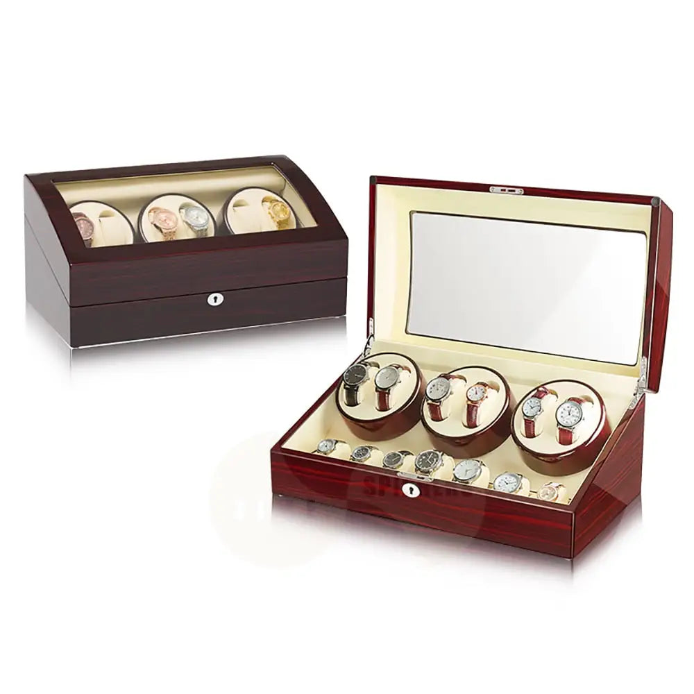 Regal - 6 + 7 Luxury Watch Winder Mahogany/White Watch winder