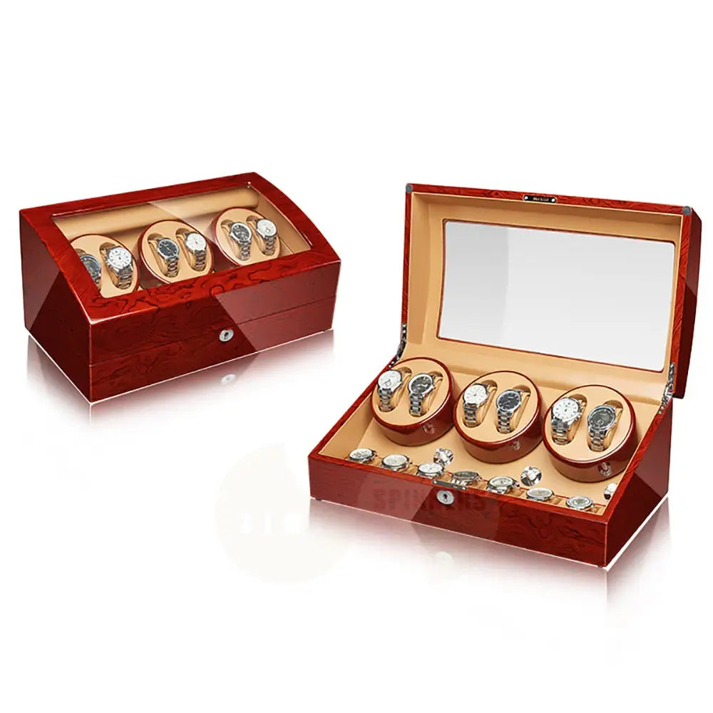 Regal - 6 + 7 Luxury Watch Winder Rosewood/Khaki Watch winder